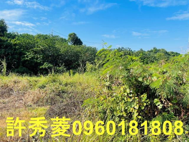 高雄燕巢農地-11