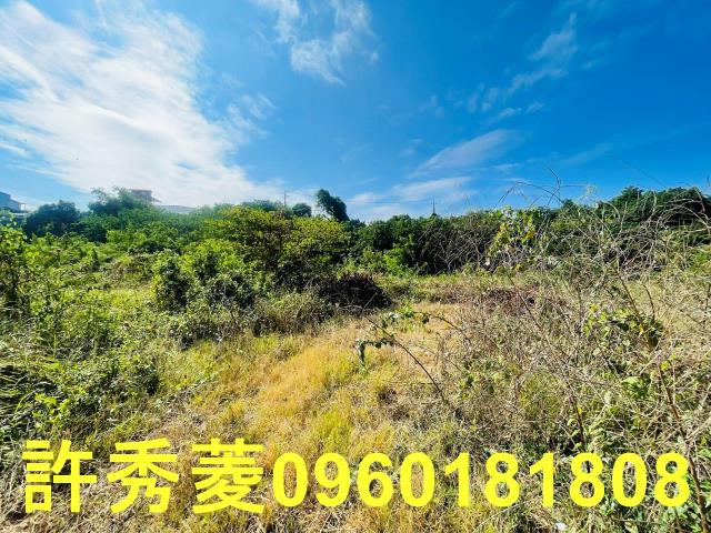 高雄燕巢農地-12