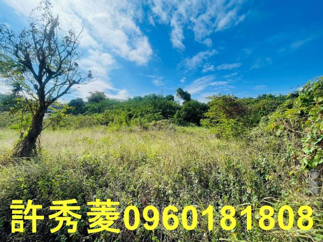 高雄燕巢農地-14