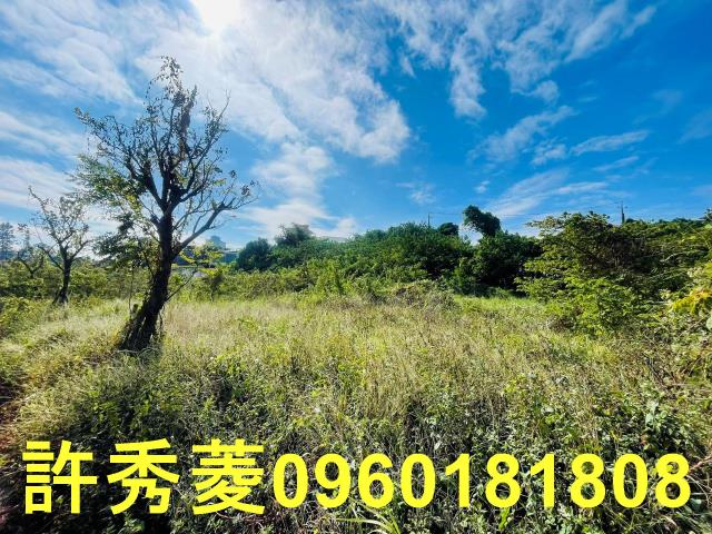 高雄燕巢農地-1