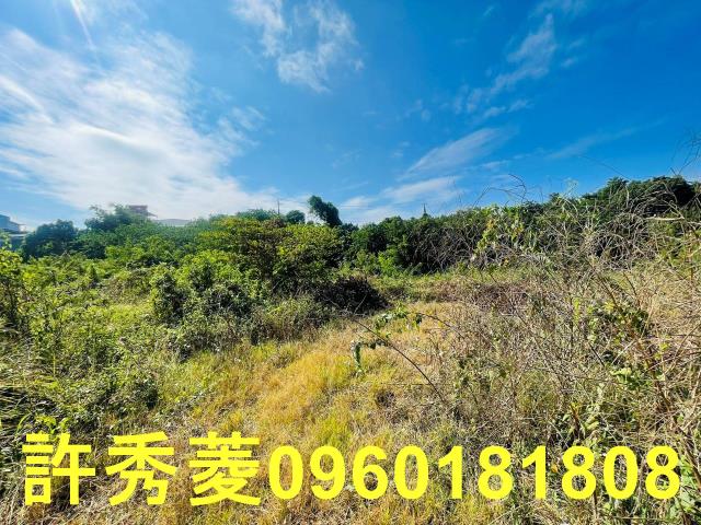 高雄燕巢農地-6