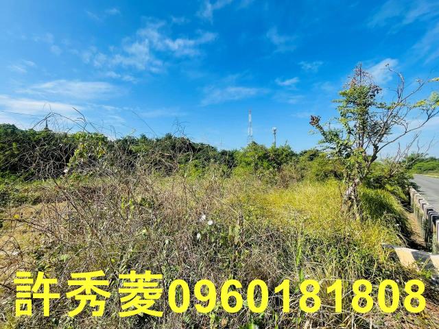 高雄燕巢農地-7