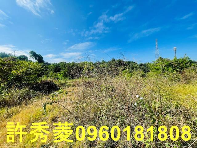 高雄燕巢農地-8