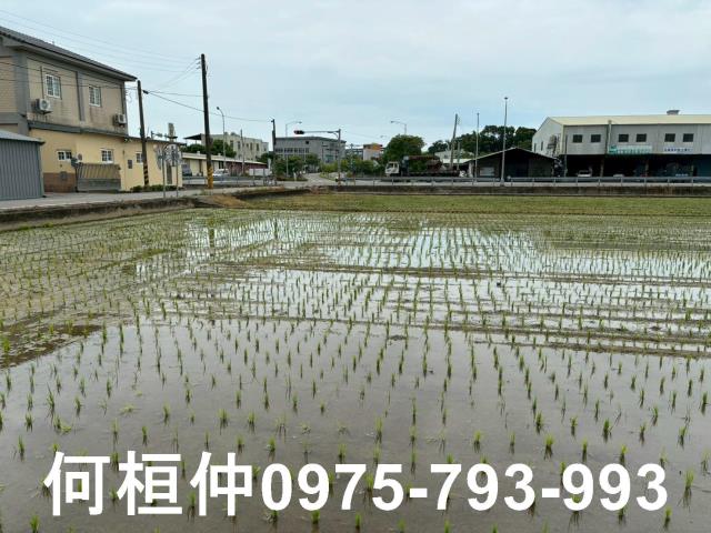 苗栗後龍農地-2