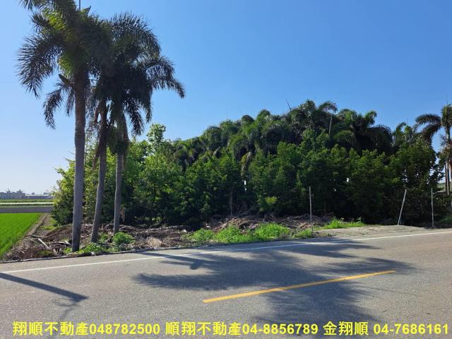 彰化溪州農地-2