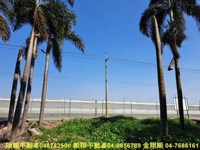 彰化溪州農地-9