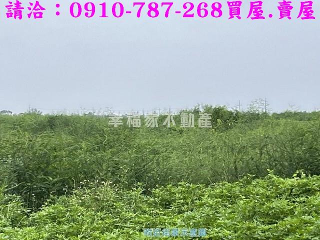 安南休閒地-6