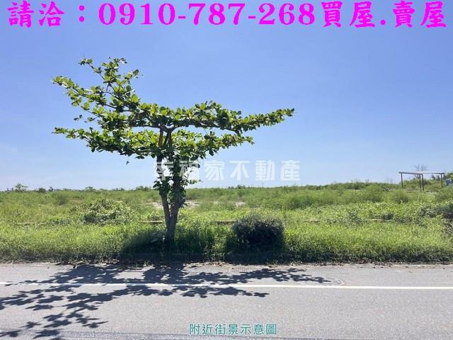 安南休閒地-8
