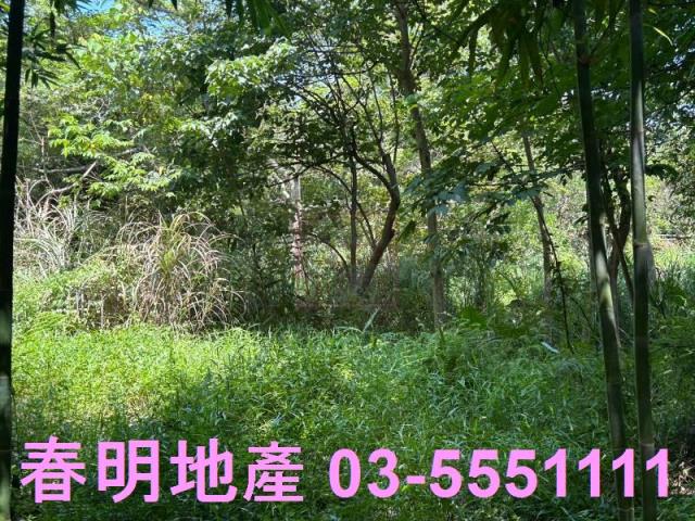 峨眉建地-2