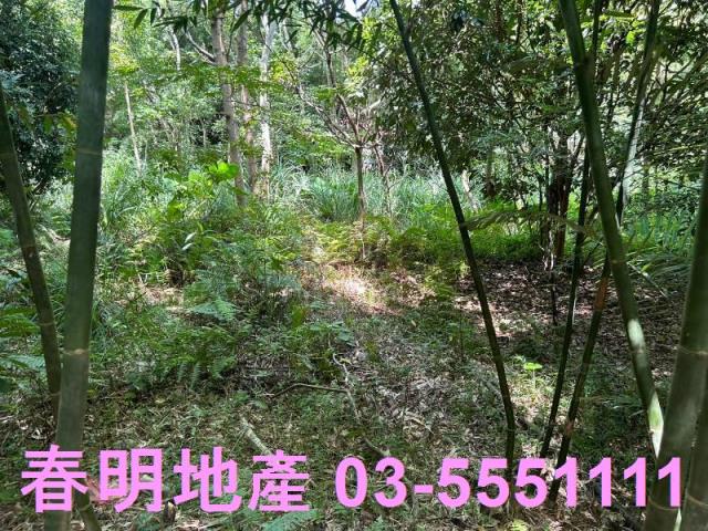 峨眉建地-6