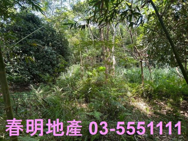 峨眉建地-7