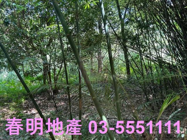 峨眉建地-8