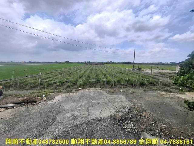 竹塘農地-2