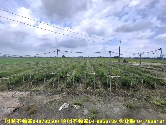 竹塘農地-4