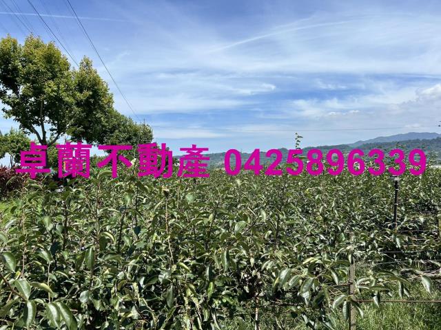 苗栗卓蘭農地-15