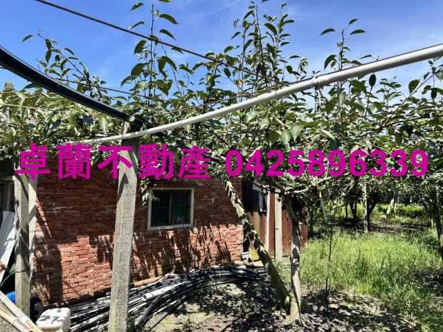 苗栗卓蘭農地-1
