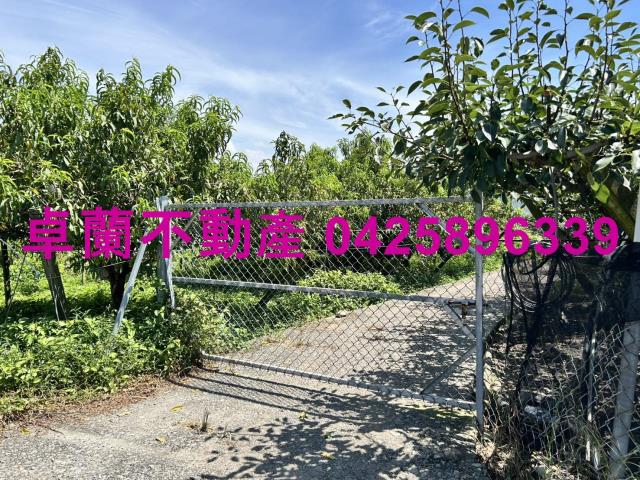 苗栗卓蘭農地-8