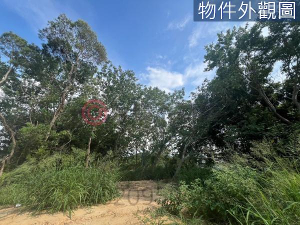 香山農地-10