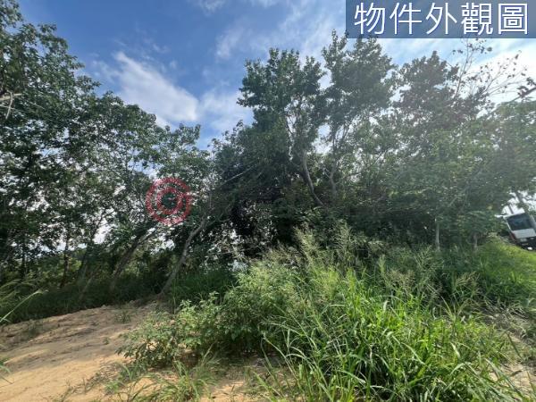 香山農地-4