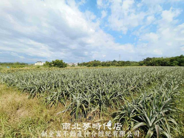 山上農地-1