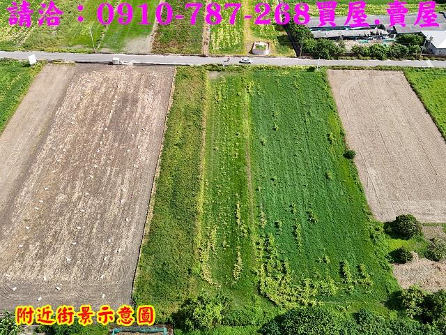 將軍農地-3