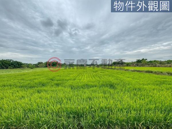 新豐農地-10