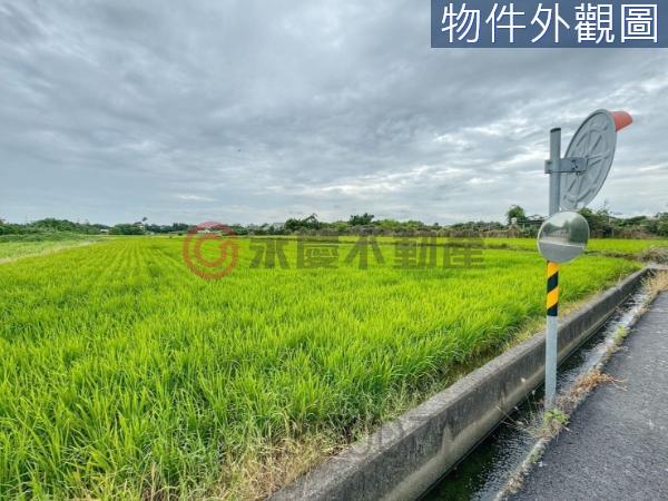 新豐農地-11