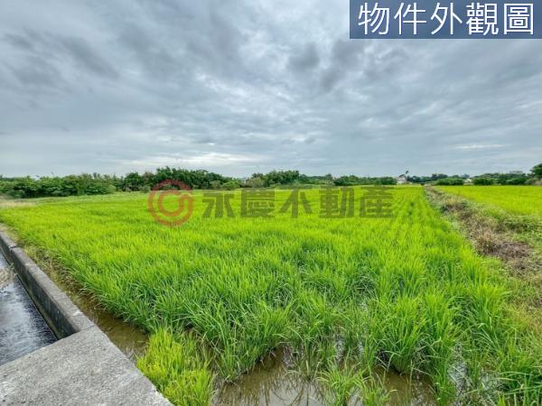 新豐農地-1
