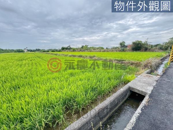 新豐農地-4