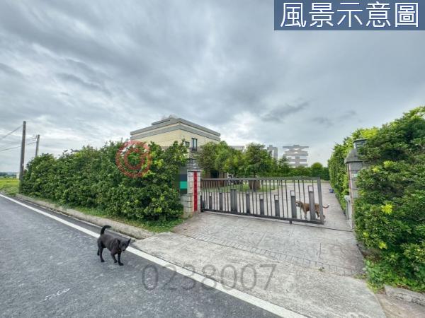 新豐農地-8