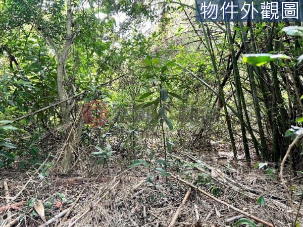 新竹農地-1