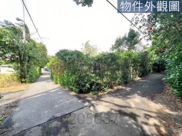 新竹農地-7