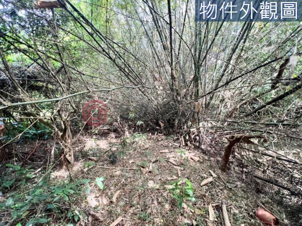 新竹農地-8