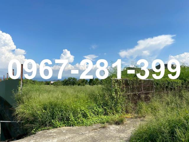 苗栗農地-1