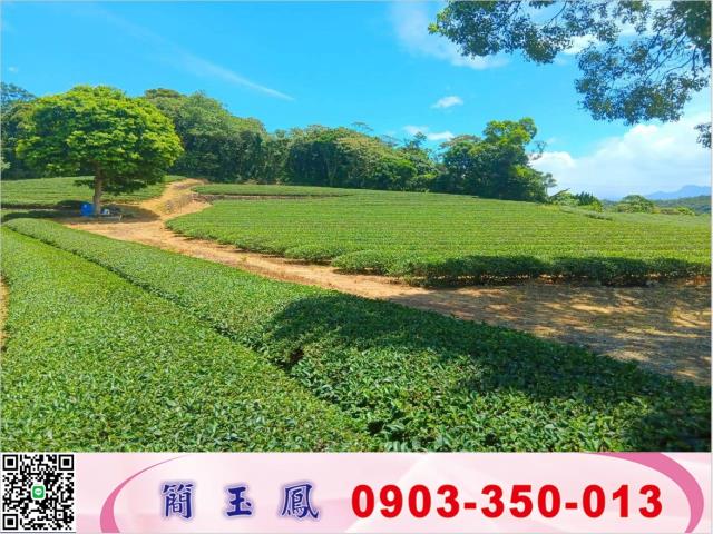 桃園龍潭農地-1
