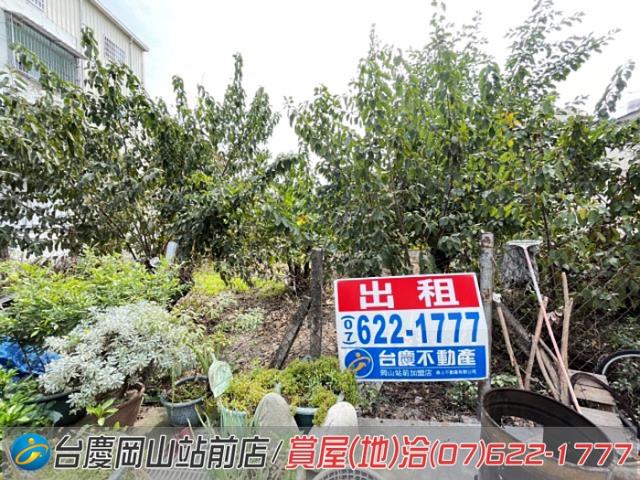 高雄阿蓮農地-15