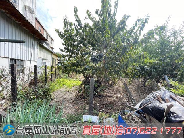 高雄阿蓮農地-3