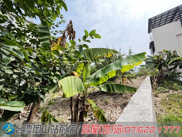 高雄阿蓮農地-8