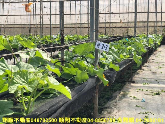 彰化埔鹽農地-2