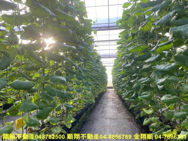 彰化埔鹽農地-5