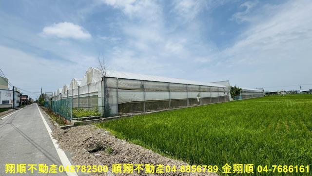彰化埔鹽農地-8
