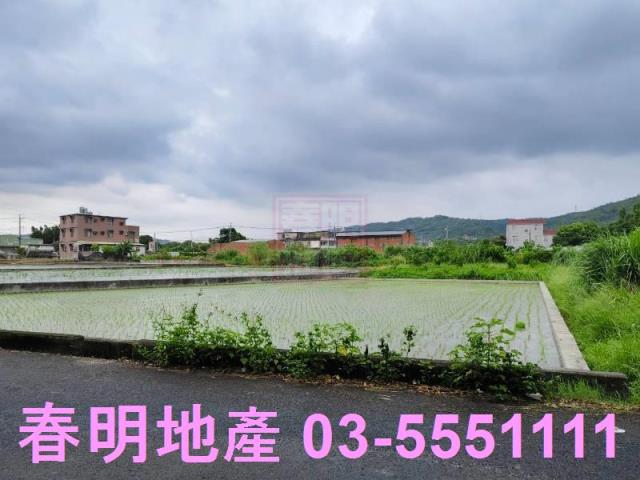 新埔農地-10