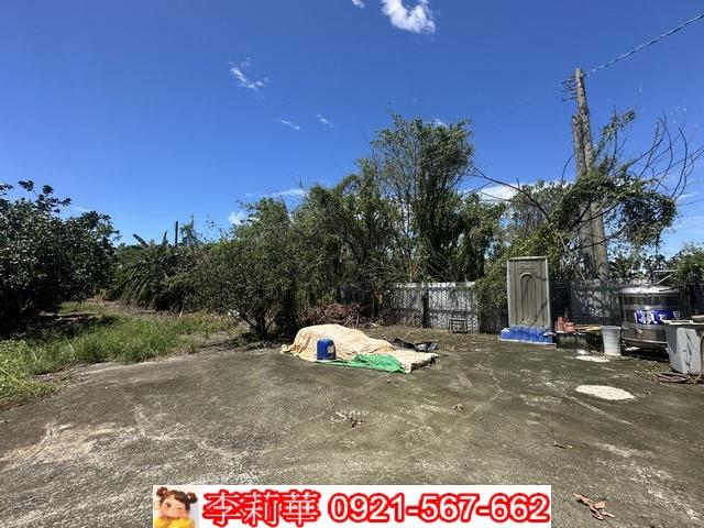 旗山農地-6
