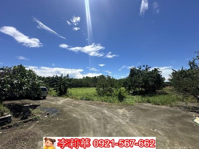 旗山農地-9