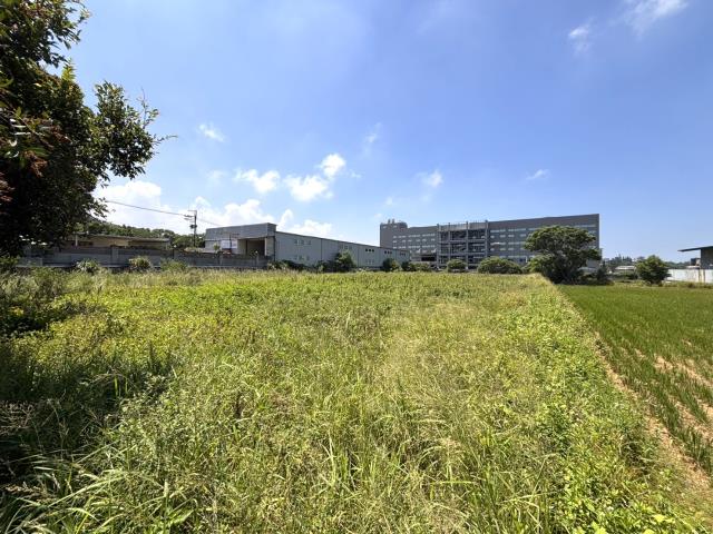 新豐農地-3