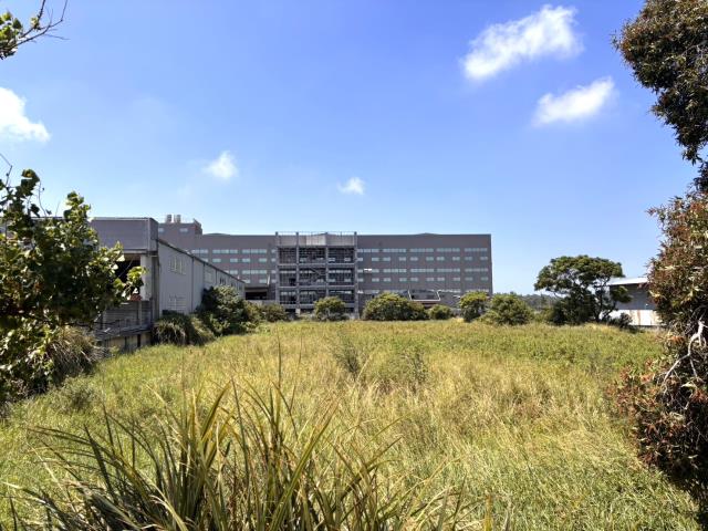 新豐農地-5