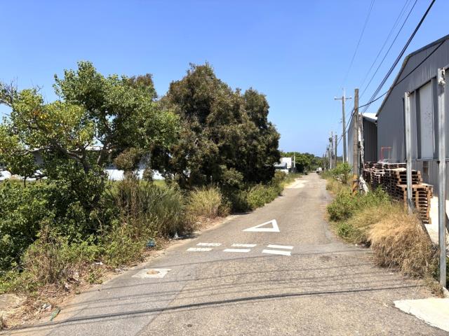 新豐農地-9