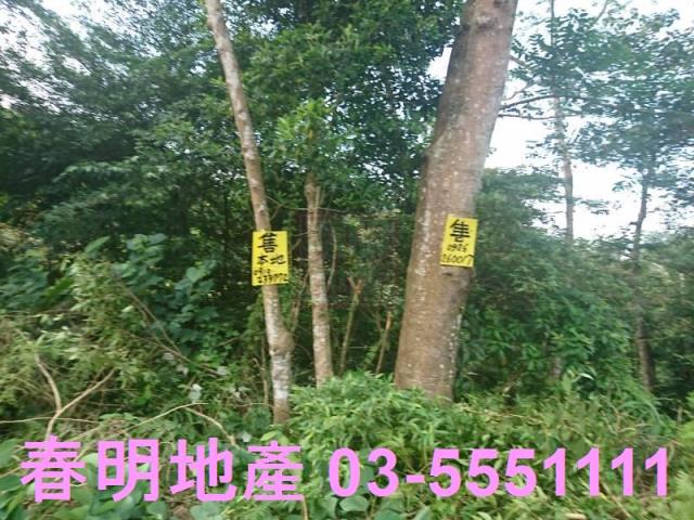 新竹農地-1