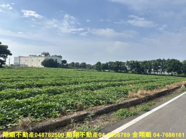 台中農地-9