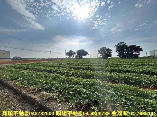 台中農地-14